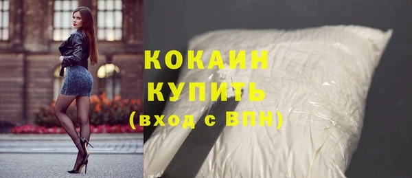 ALPHA PVP Гусев