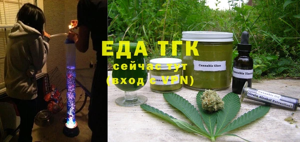 индика Горнозаводск