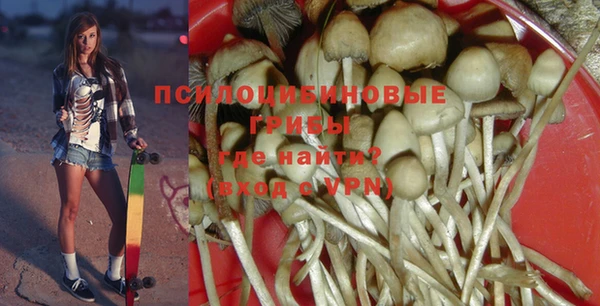 ALPHA PVP Гусев