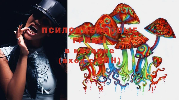 MESCALINE Вязники